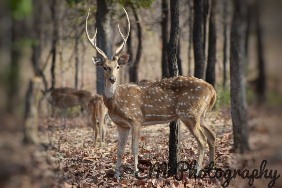 Photo of Churna, Madhya Pradesh, India by Apeksha Mahto