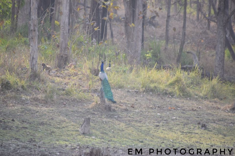 Photo of Churna, Madhya Pradesh, India by Apeksha Mahto