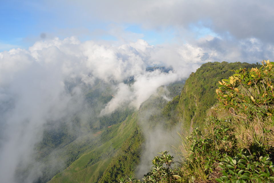 Photo of Kodaikanal, Tamil Nadu, India by Apeksha Mahto