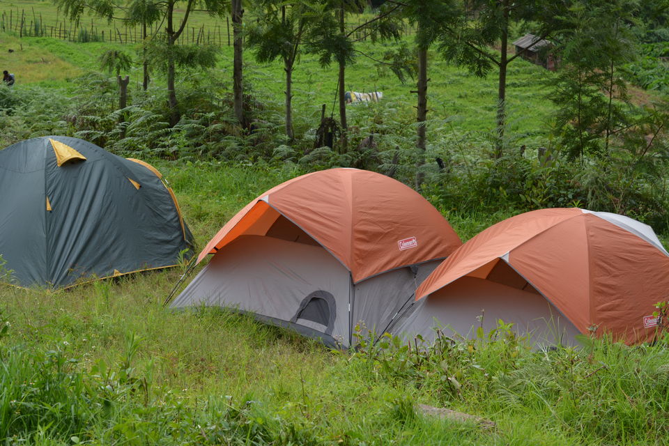 Photo of Kodaikanal, Tamil Nadu, India by Apeksha Mahto