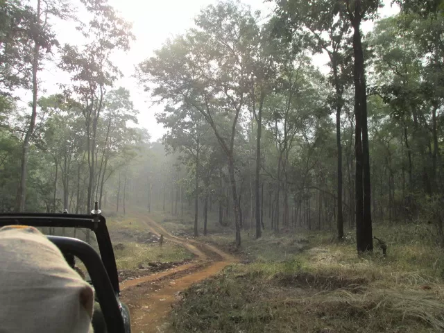 Photo of Satpura Tiger Reserve, Madhai, Madai, Madhya Pradesh, India by Apeksha Mahto
