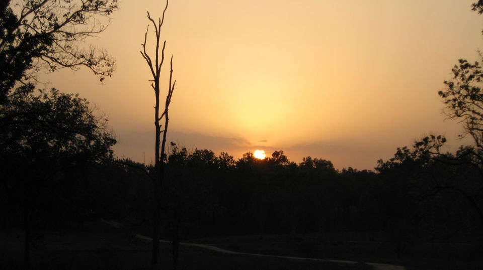 Photo of Kanha Tiger Reserve #Madhya Pradesh Tourism by Apeksha Mahto