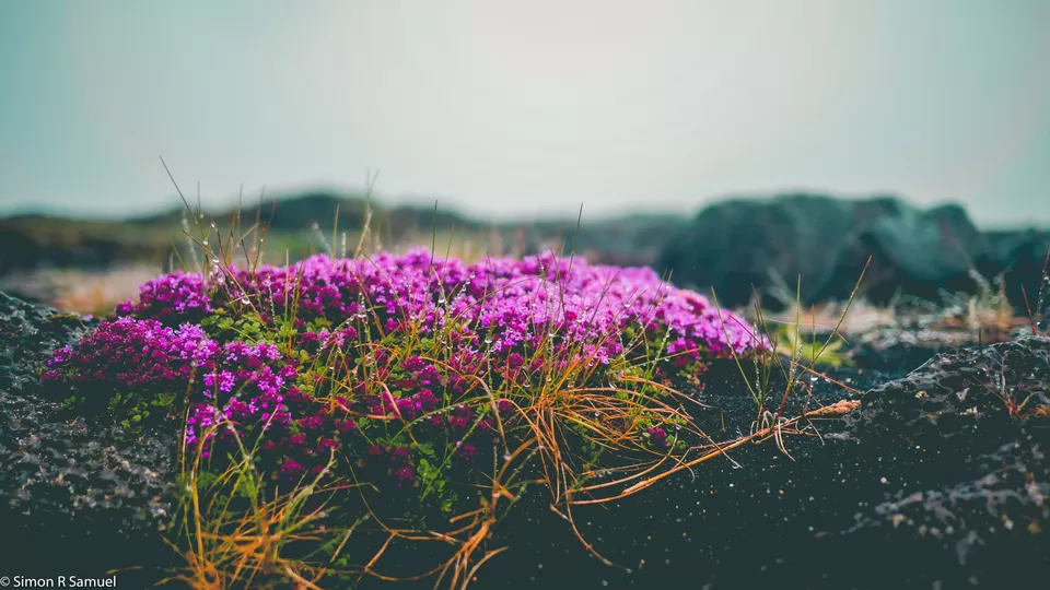 Photo of Iceland by Simon R Samuel