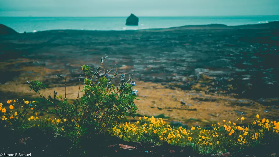 Photo of Iceland by Simon R Samuel