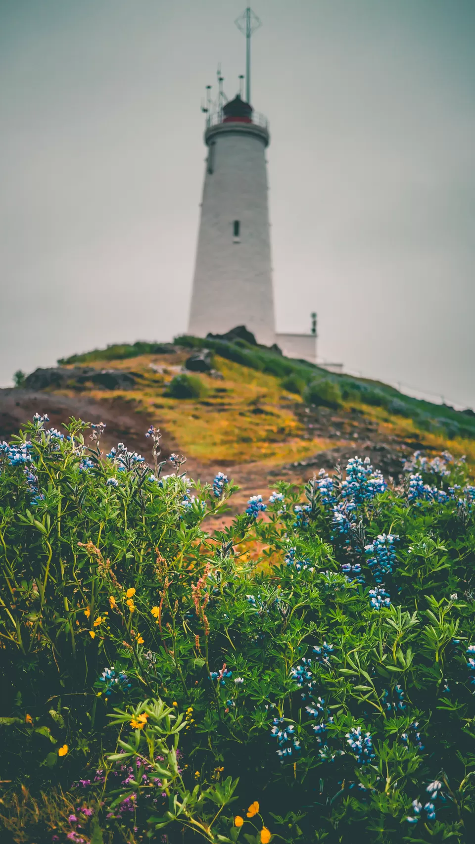 Photo of Iceland by Simon R Samuel