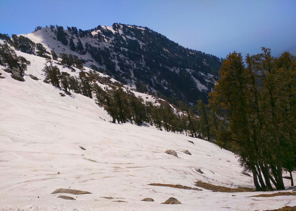 Photo of Trail to IllaqaIllaqaHimachal Pradesh 176216 by Jason Byrne