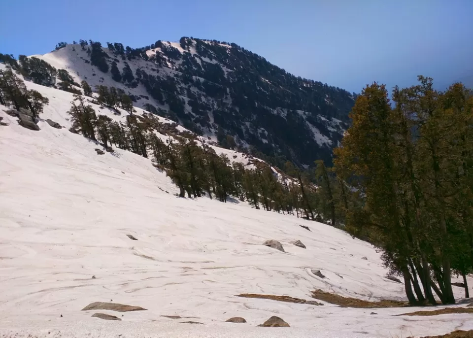 Photo of Trail to IllaqaIllaqaHimachal Pradesh 176216 by Jason Byrne