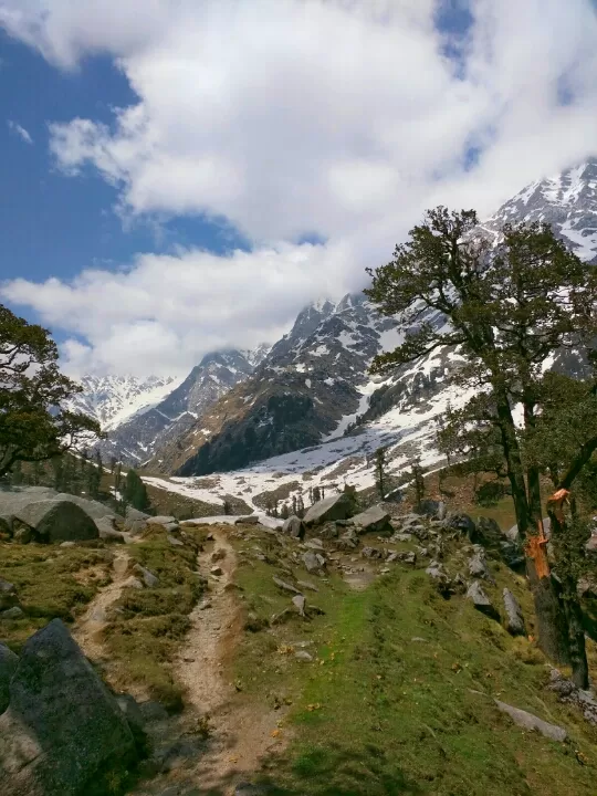 Photo of Trail to IllaqaIllaqaHimachal Pradesh 176216 by Jason Byrne