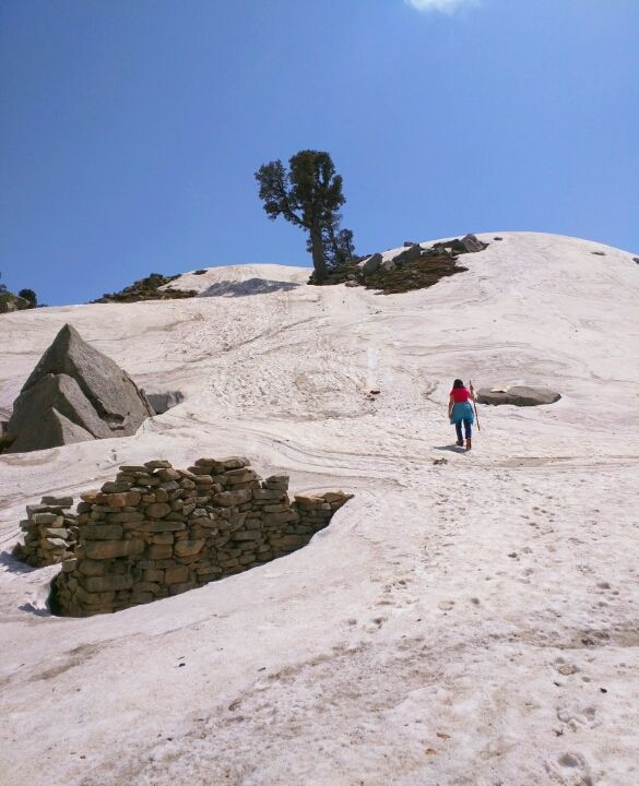 Photo of Trail to IllaqaIllaqaHimachal Pradesh 176216 by Jason Byrne
