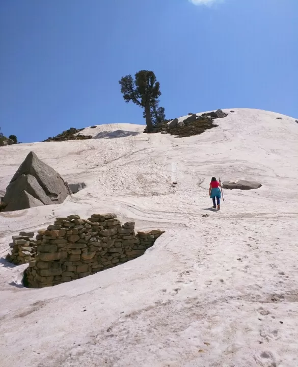 Photo of Trail to IllaqaIllaqaHimachal Pradesh 176216 by Jason Byrne