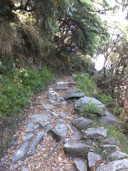 Photo of McLeodganj RdLoharkadi Upper SudherDharamshala, Himachal Pradesh 176216 by Jason Byrne