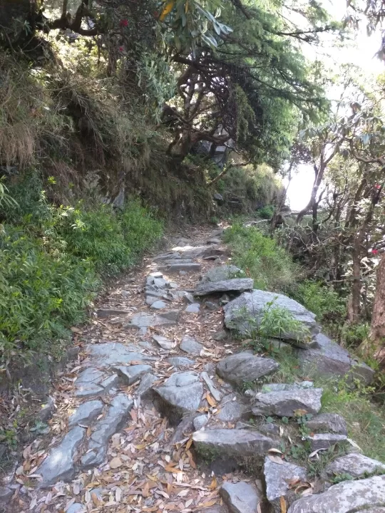 Photo of McLeodganj RdLoharkadi Upper SudherDharamshala, Himachal Pradesh 176216 by Jason Byrne