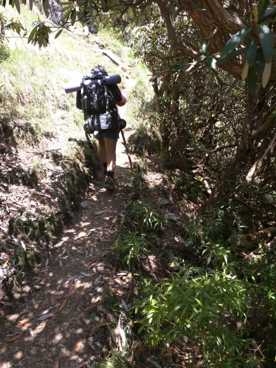 Photo of Trekking To Triund & Beyond by Jason Byrne