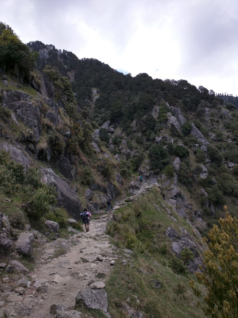 Photo of Trekking To Triund & Beyond by Jason Byrne