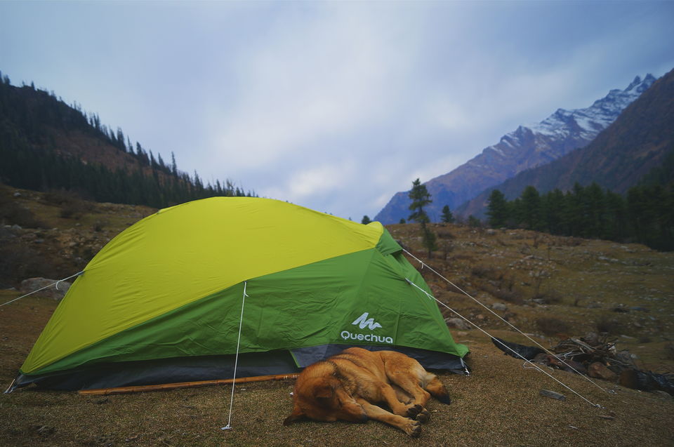 Photo of A Winter Trek To Kheerganga by Jason Byrne