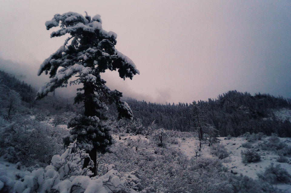 Photo of A Winter Trek To Kheerganga by Jason Byrne