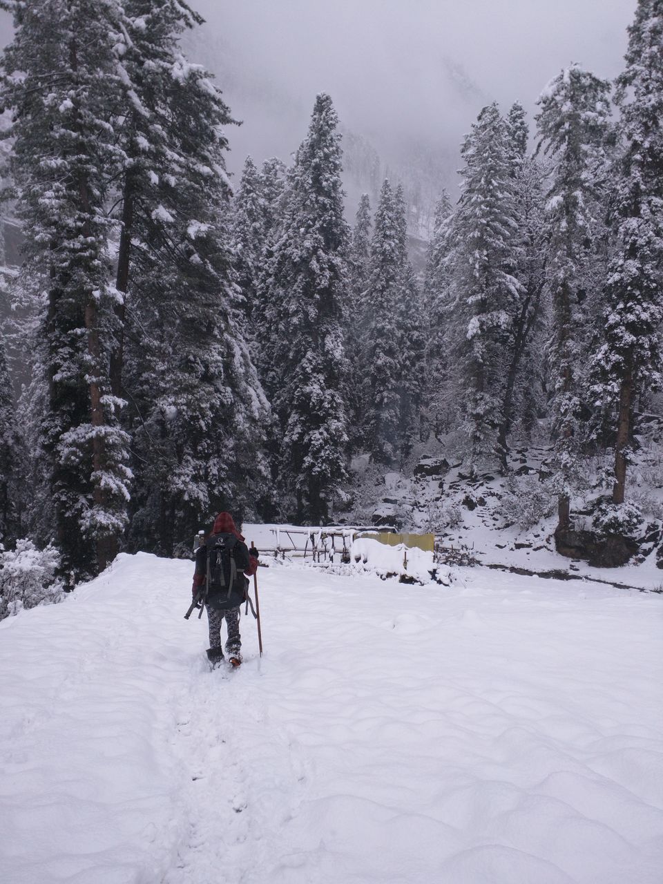 kheerganga trek in winter