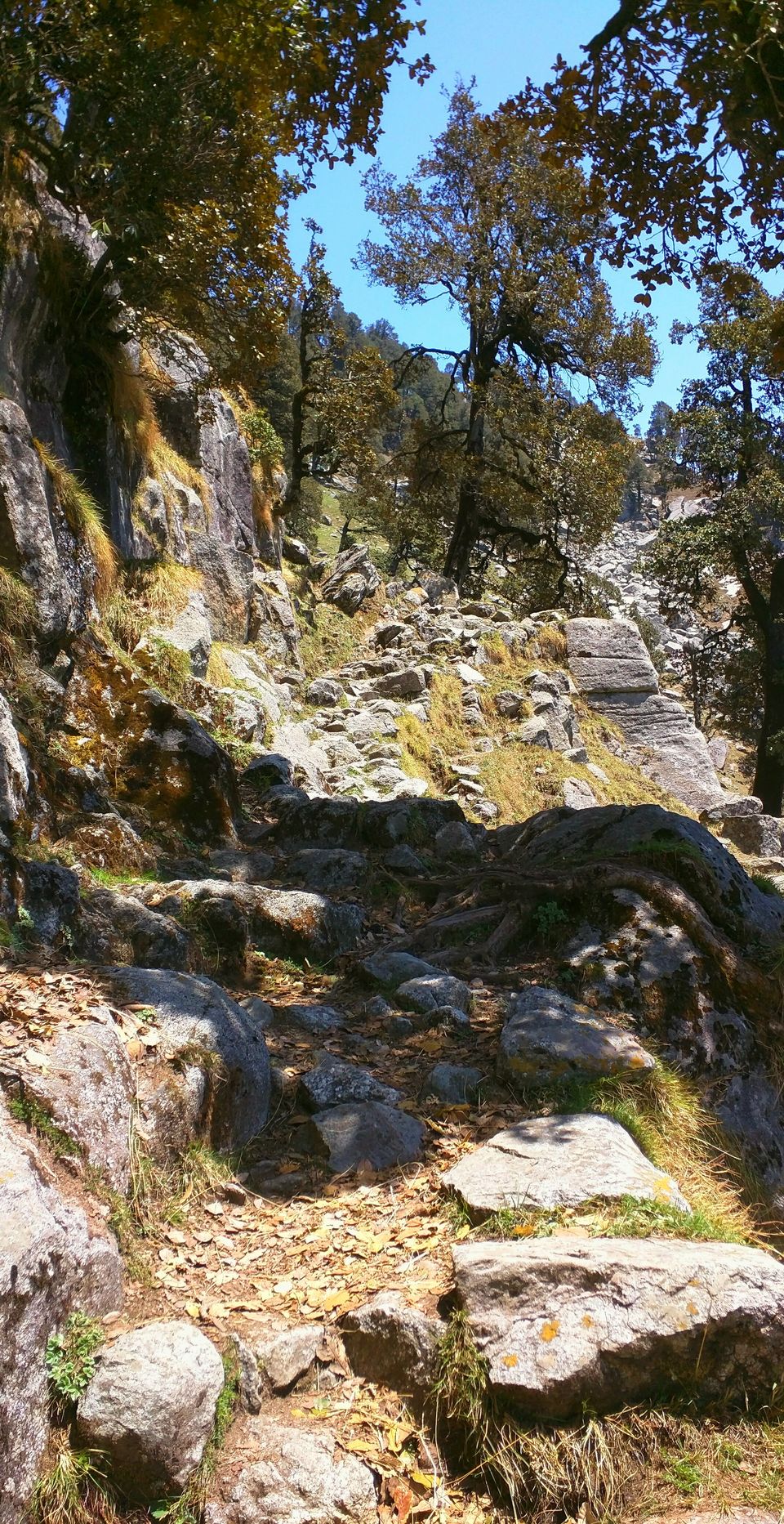 Photo of Trekking To Triund & Beyond by Jason Byrne