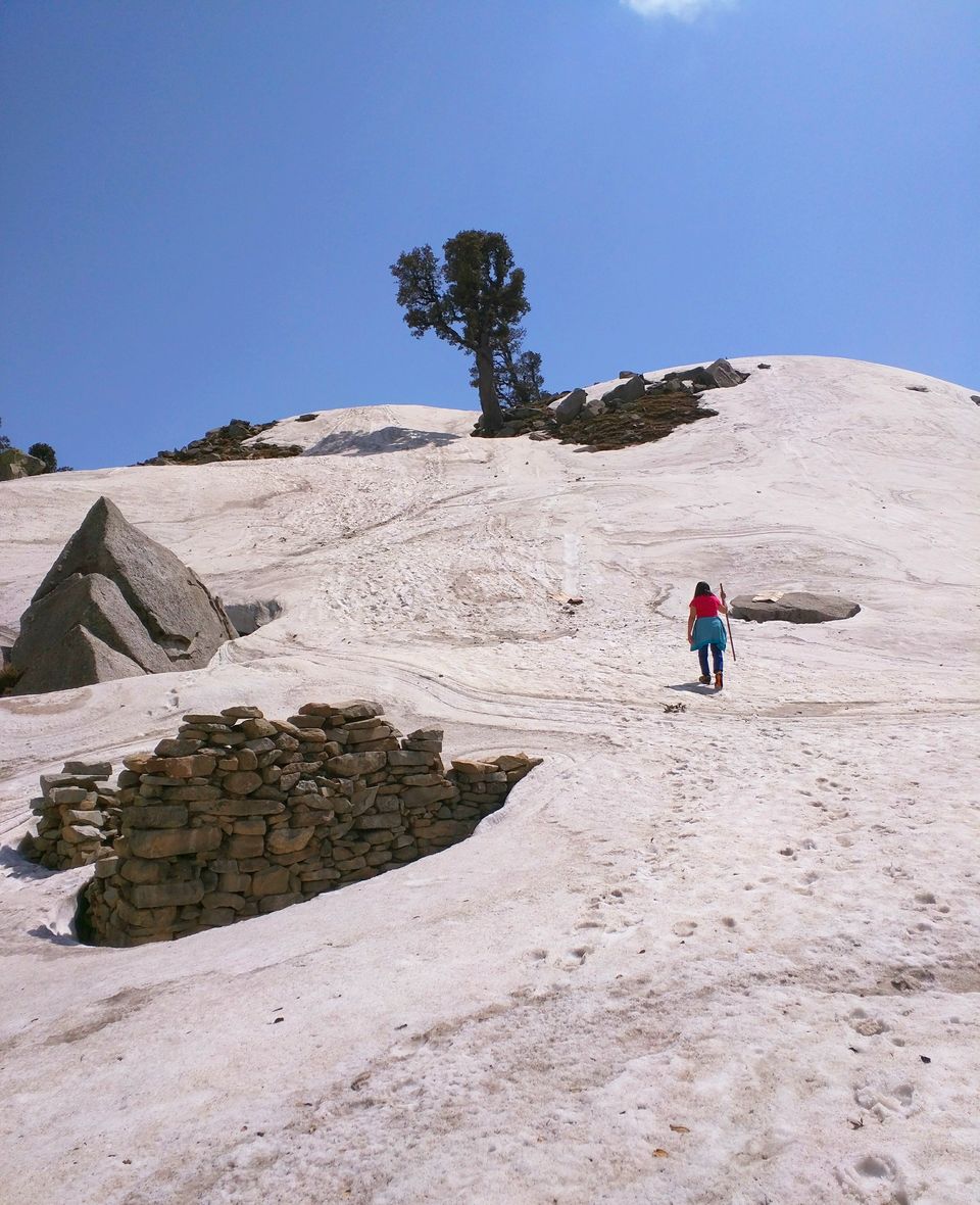 Photo of Trekking To Triund & Beyond by Jason Byrne