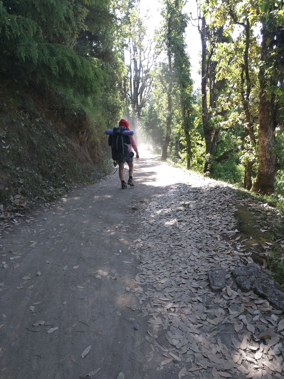 Photo of Trekking To Triund & Beyond by Jason Byrne