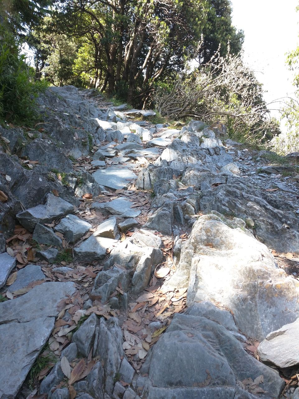 Photo of Trekking To Triund & Beyond by Jason Byrne