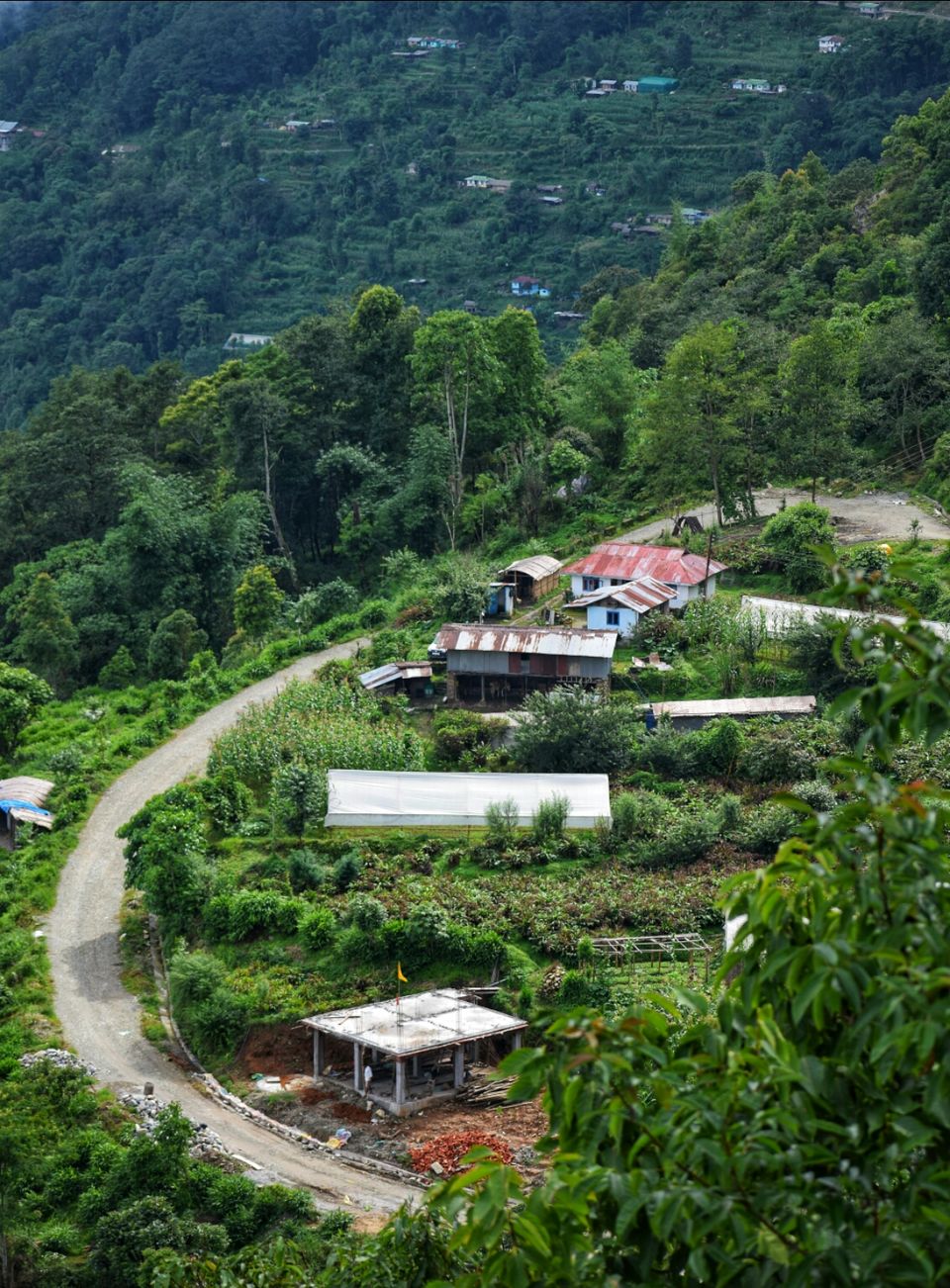 Photo of Majitar by Avishek Khatiwara