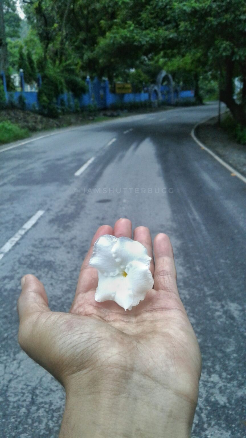 Photo of Majitar by Avishek Khatiwara