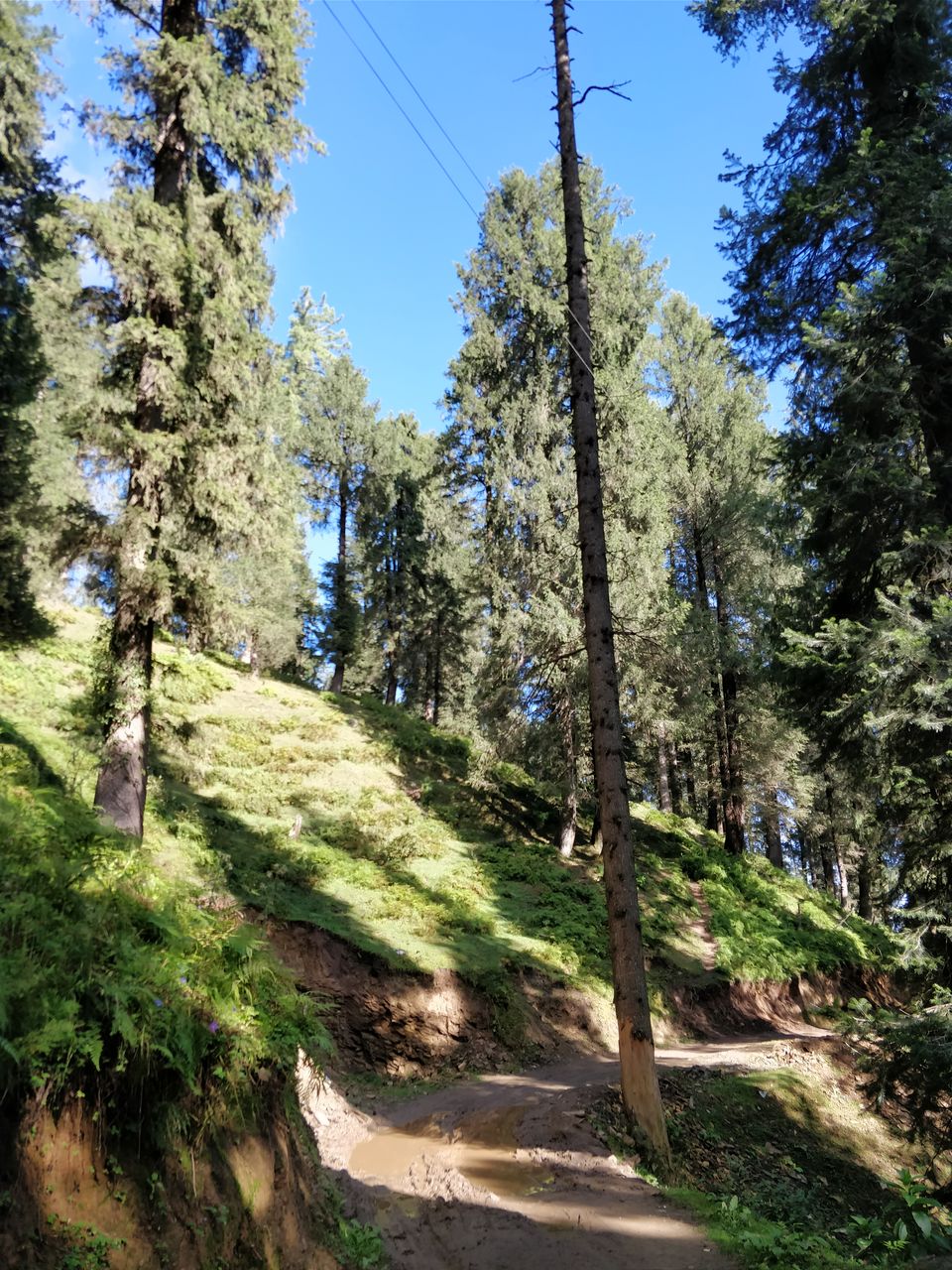 Photo of Narkanda road trip, weekend getaway from Delhi by Arnab Santra