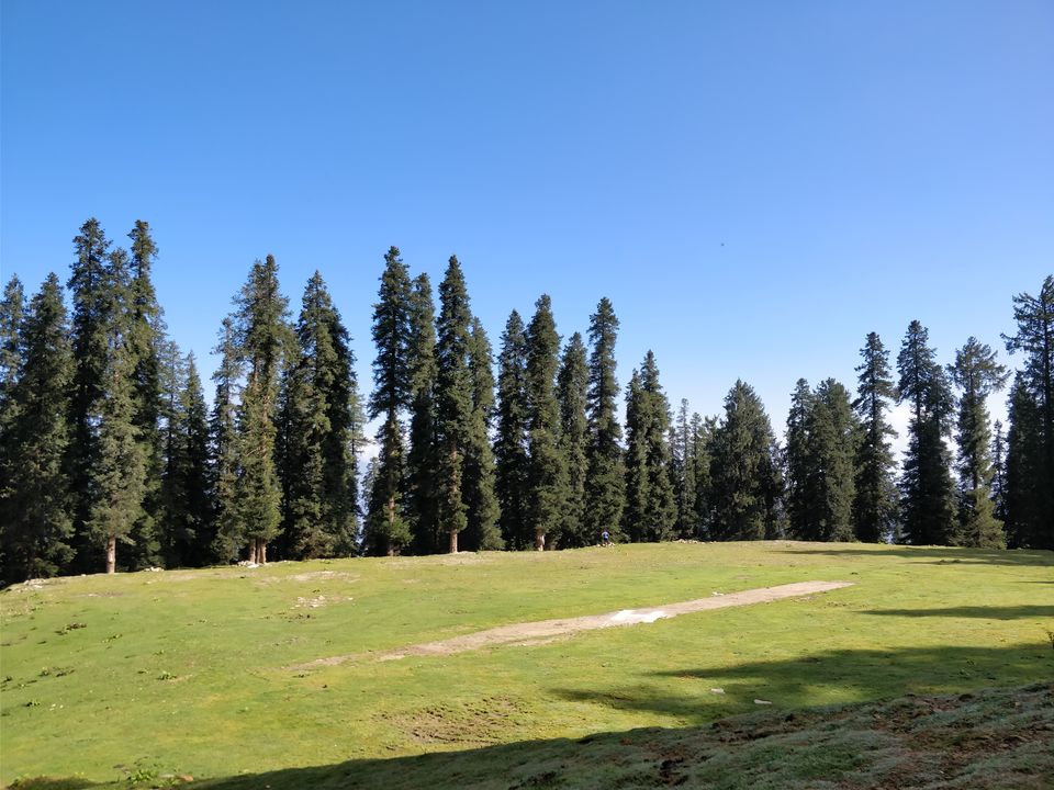 Photo of Narkanda road trip, weekend getaway from Delhi by Arnab Santra
