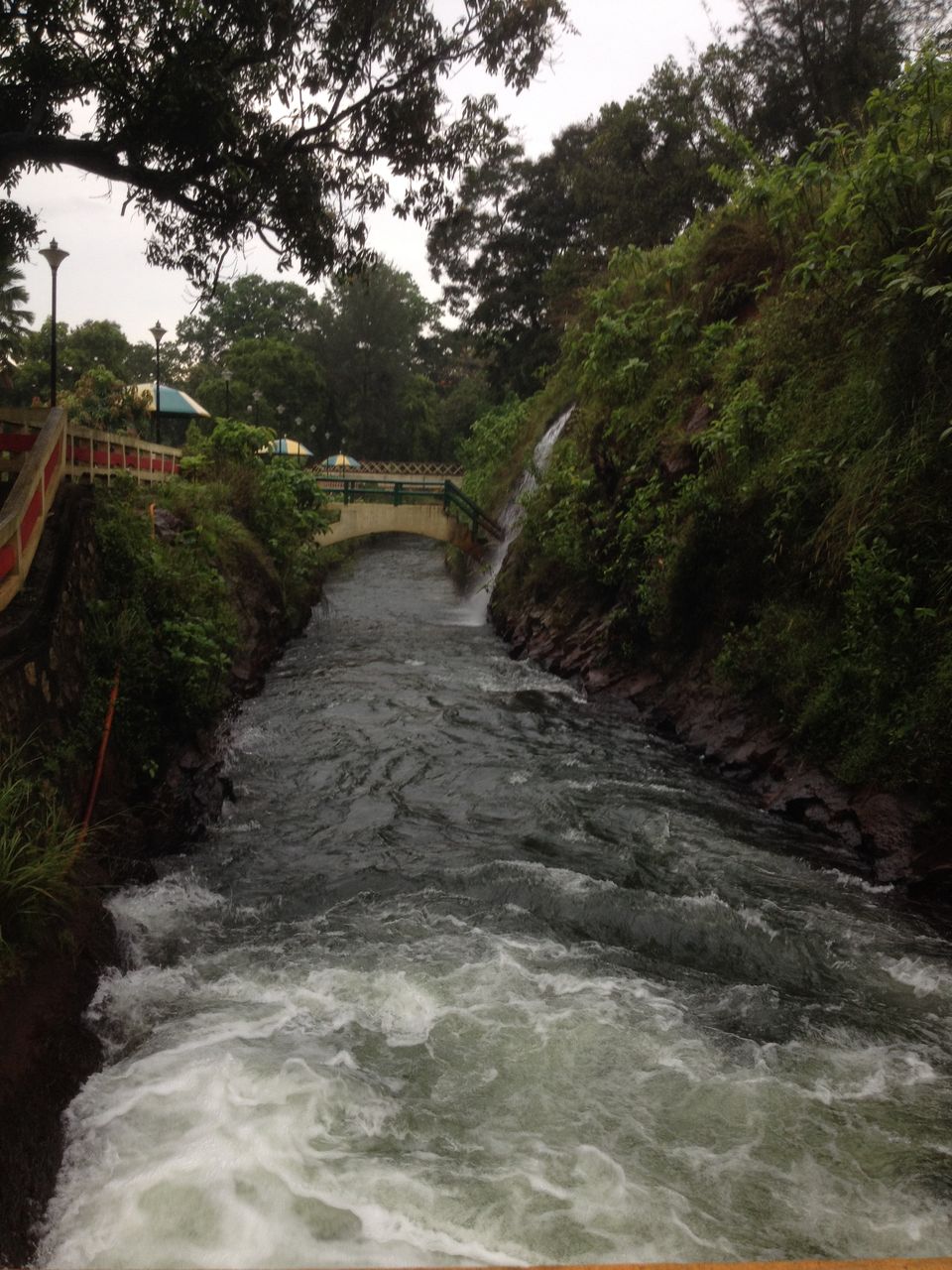Photo of Neyyar Dam 13/14 by HARI SANKAR