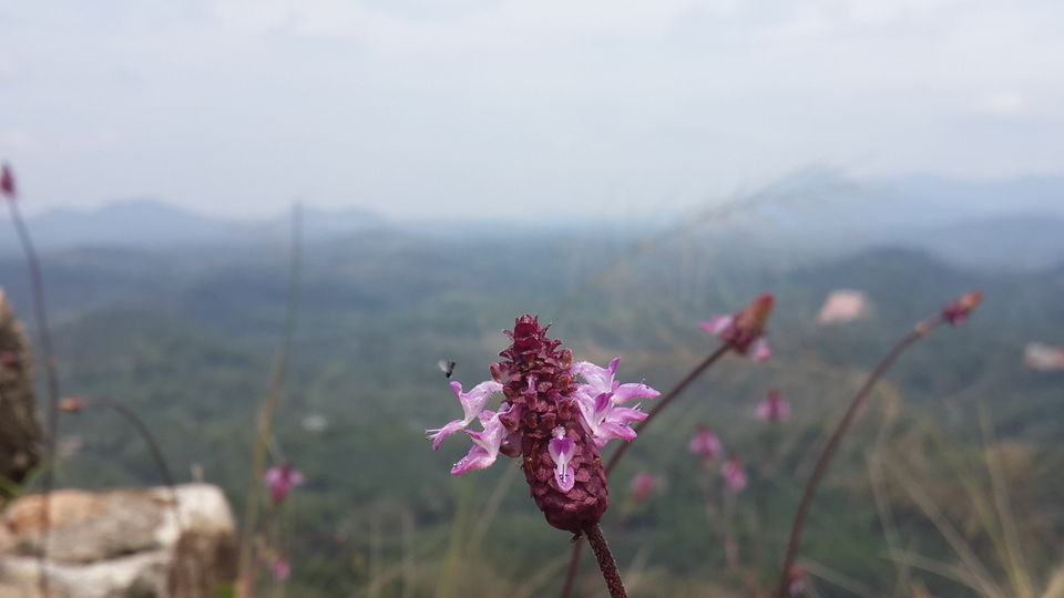 Photo of Kalipara by HARI SANKAR