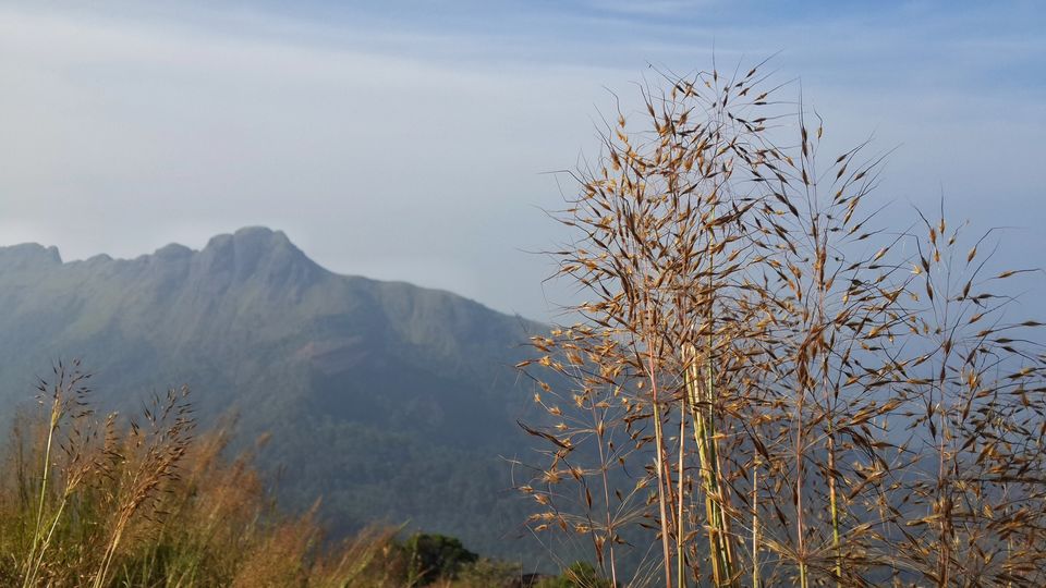 Photo of Ponmudi by HARI SANKAR