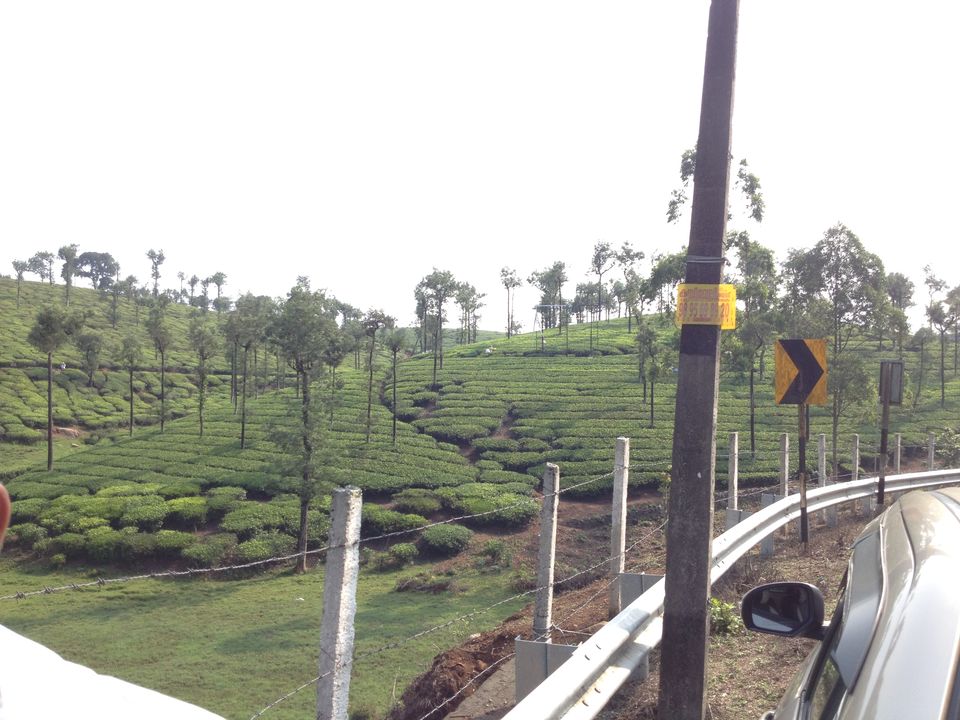 Photo of Thekkady 6/6 by HARI SANKAR
