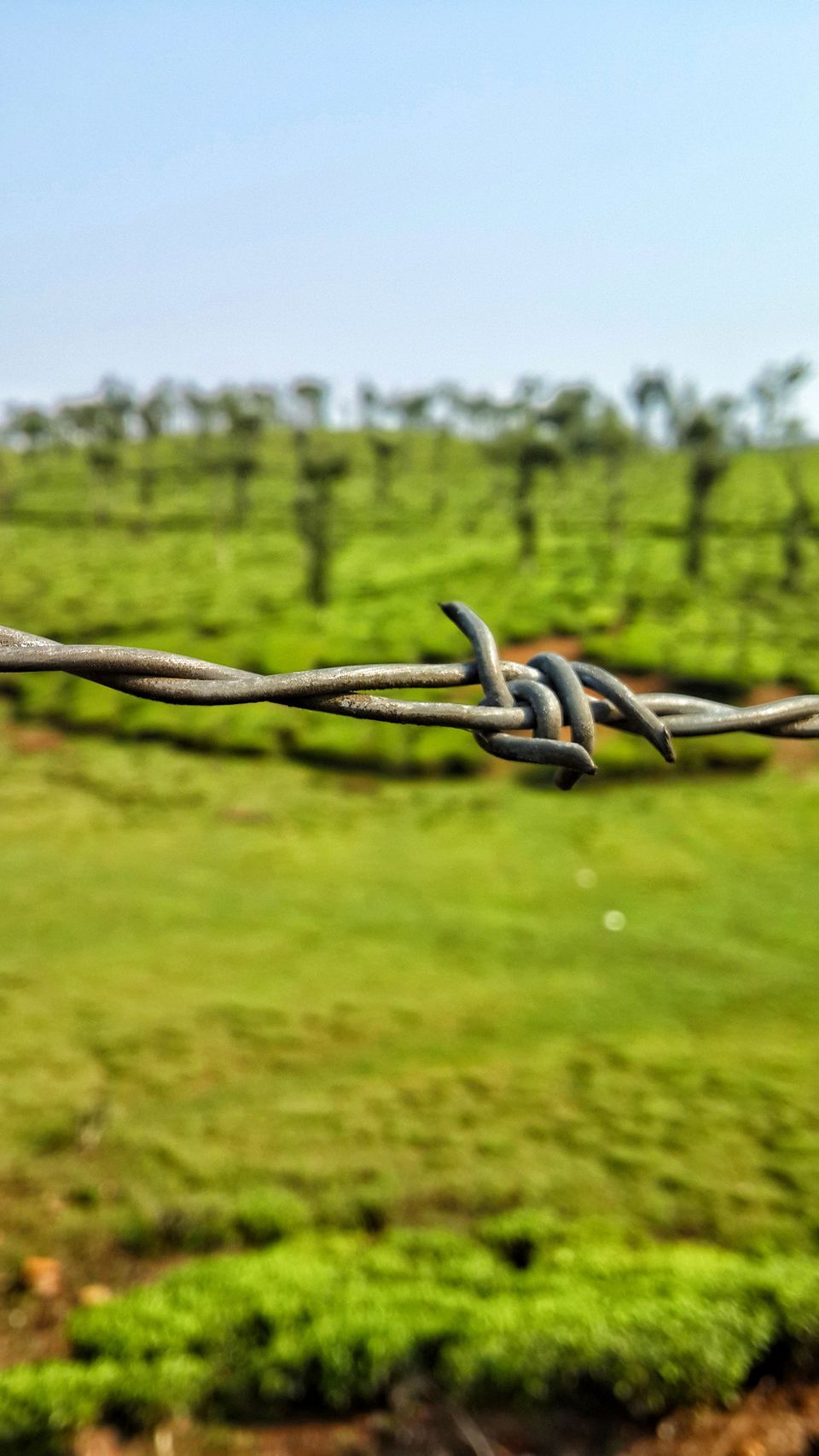 Photo of Thekkady 2/6 by HARI SANKAR