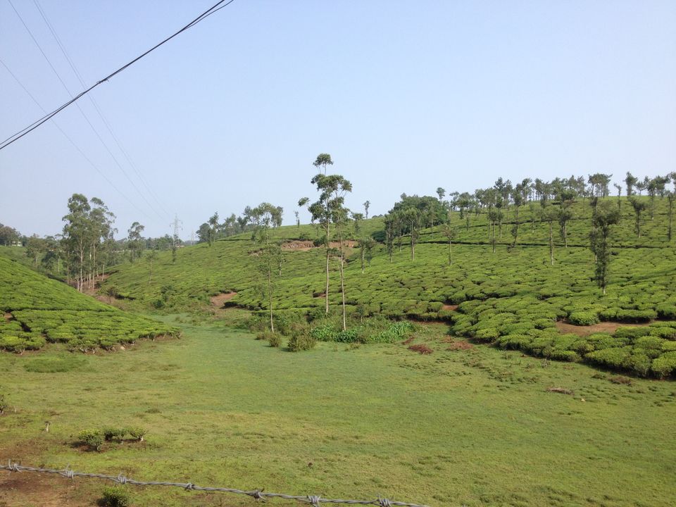 Photo of Thekkady 5/6 by HARI SANKAR