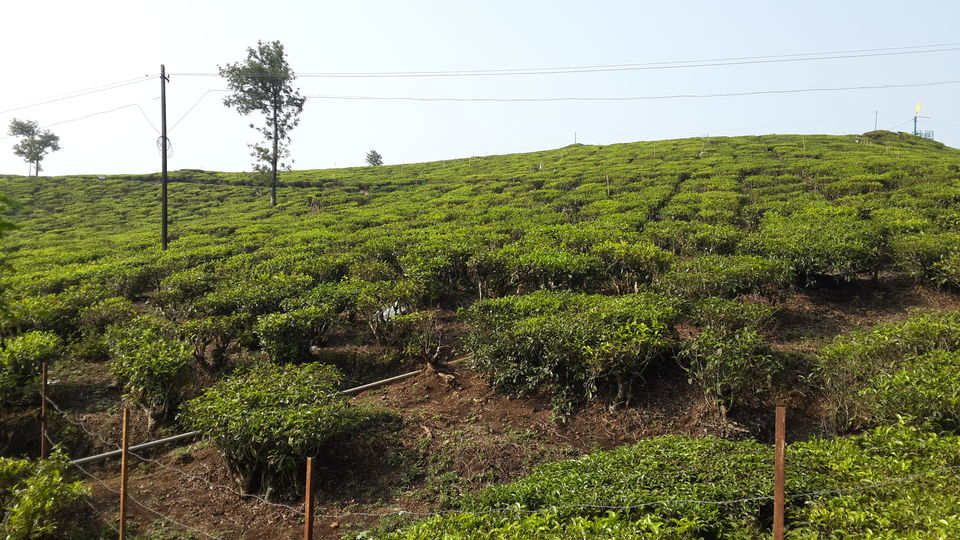 Photo of Thekkady 1/6 by HARI SANKAR