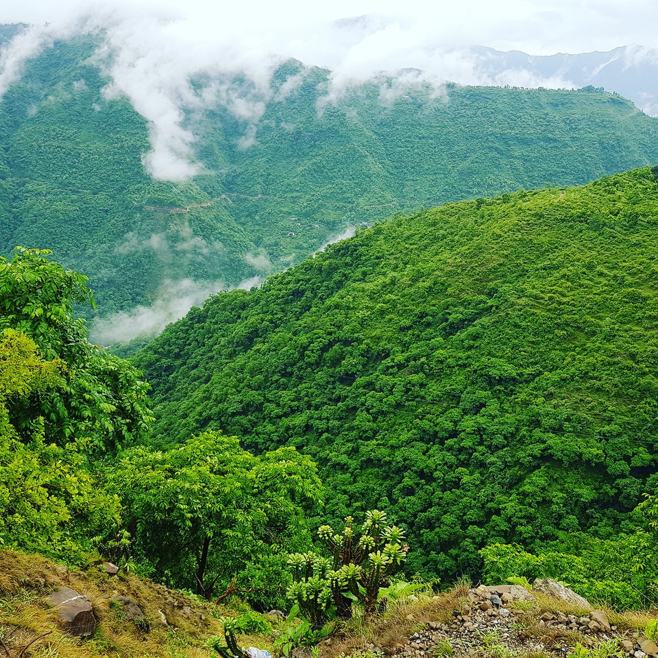 Photo of Valley Of Flowers(Uttarakhand): A Trip Turned Spiritual(Title Can’t Describe ) by Rahul Cosec