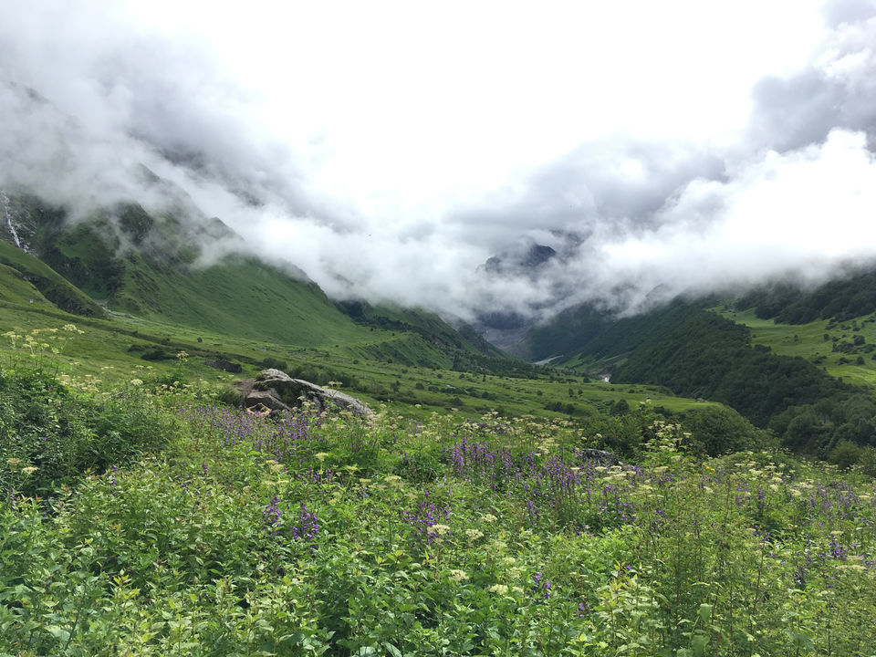 Photo of Valley Of Flowers(Uttarakhand): A Trip Turned Spiritual(Title Can’t Describe ) by Rahul Cosec