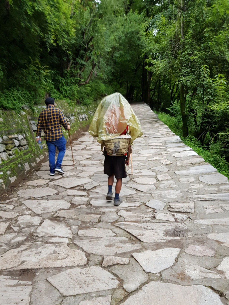 Photo of Valley Of Flowers(Uttarakhand): A Trip Turned Spiritual(Title Can’t Describe ) by Rahul Cosec