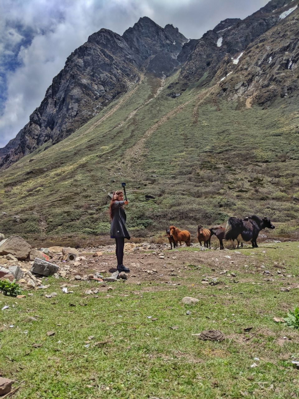 Photo of Detailed Itinerary for a 9 day trip to Sikkim by Roving Rainbow