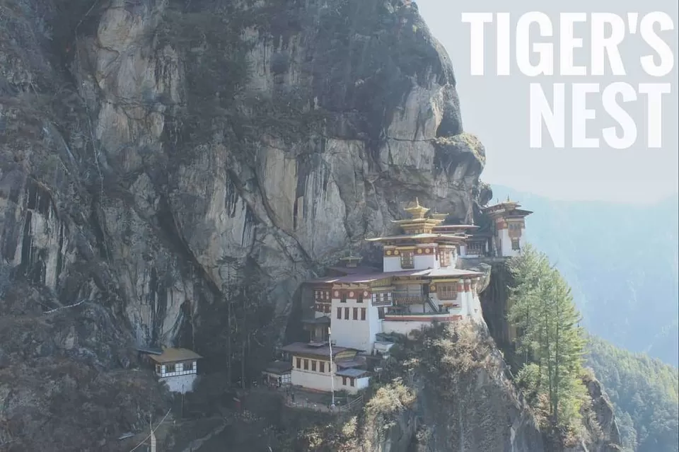 Photo of Tiger’s Nest By Pramod Mali
