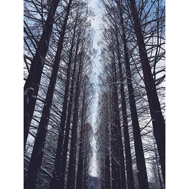 Photo of Alone to Seoul 27/35 by Eileen Yu
