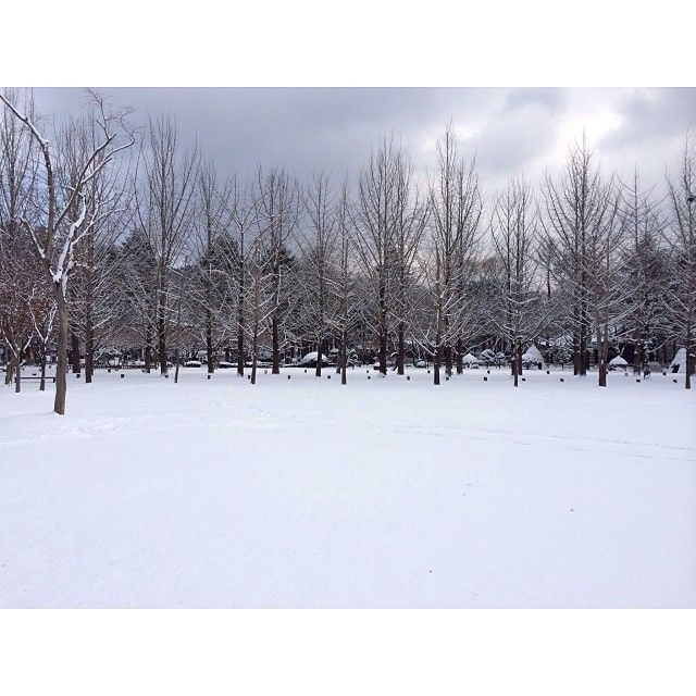 Photo of Alone to Seoul 25/35 by Eileen Yu