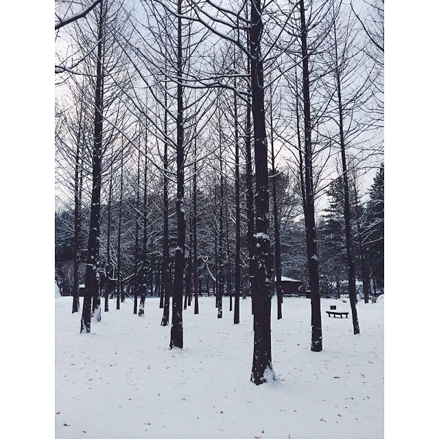 Photo of Alone to Seoul 24/35 by Eileen Yu