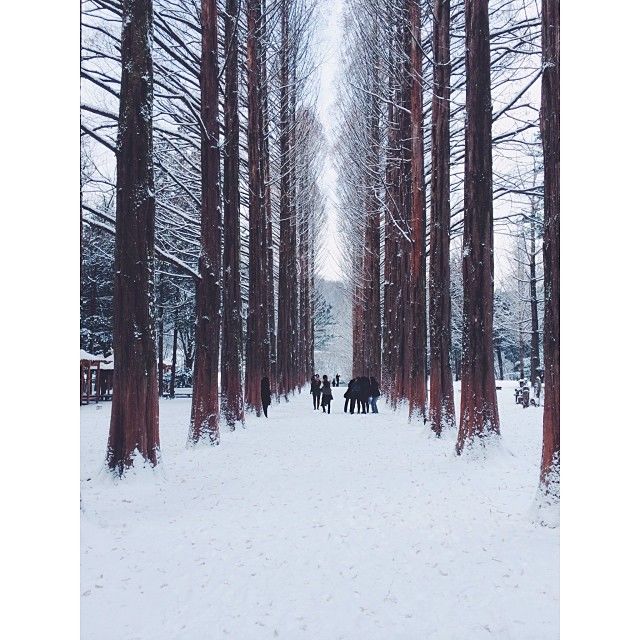 Photo of Alone to Seoul 26/35 by Eileen Yu