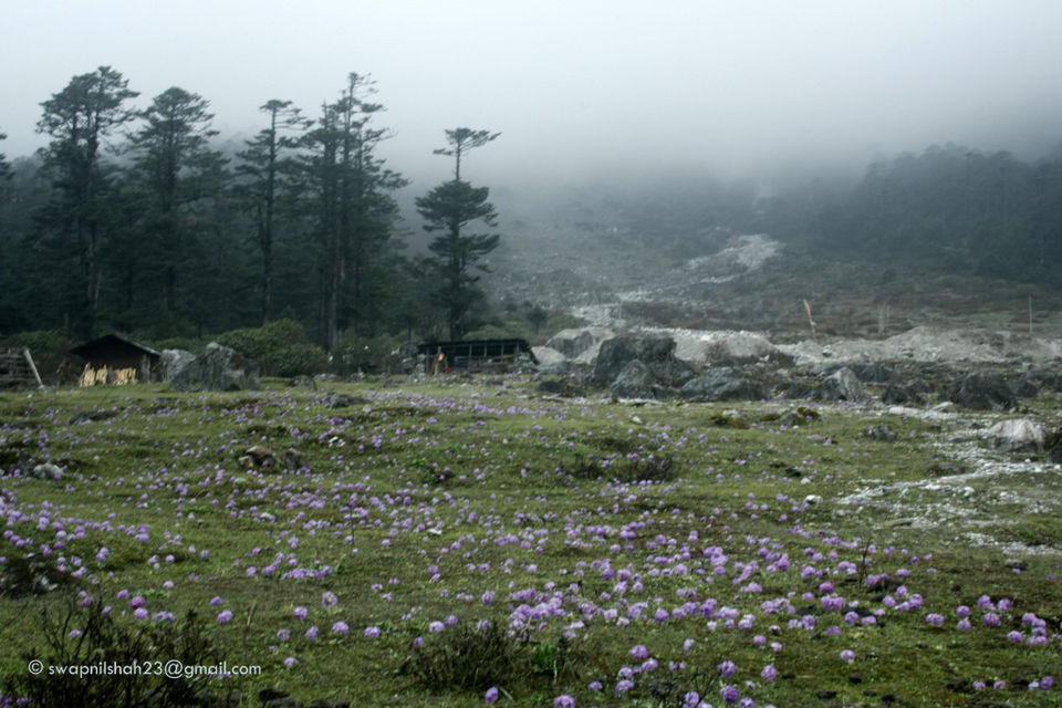 Photo of Untouched North Sikkim 9/13 by Swapnil Shah