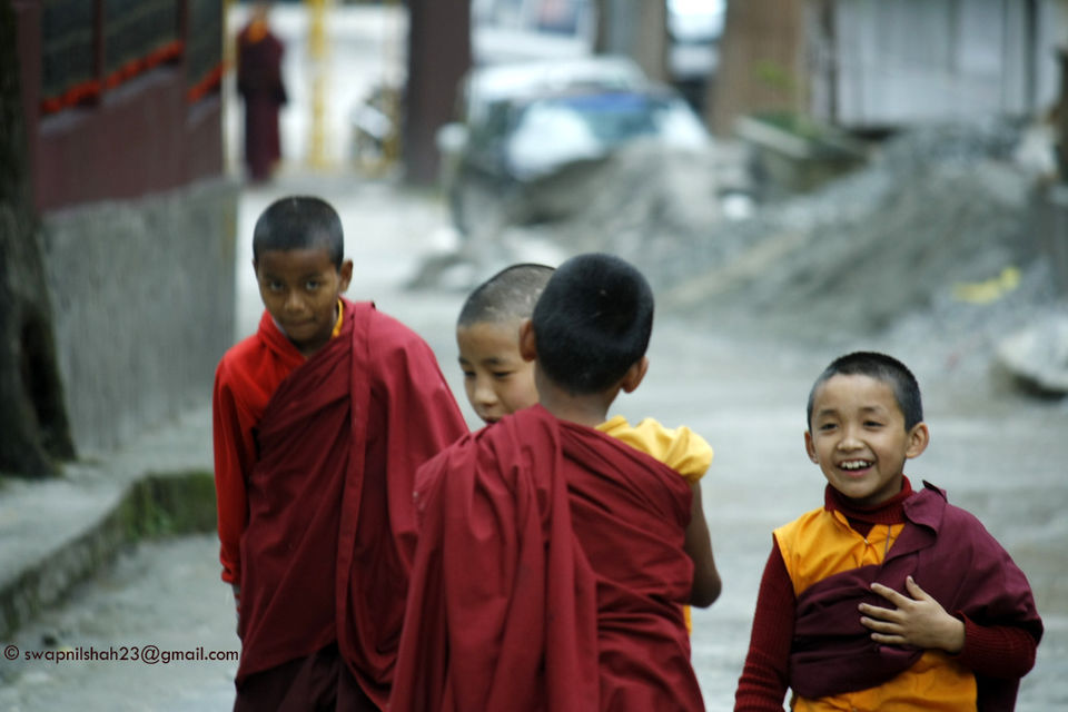 Photo of Untouched North Sikkim 11/13 by Swapnil Shah