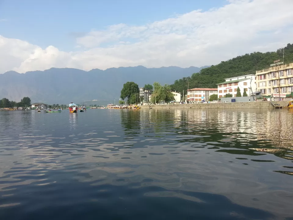 Photo of Beautiful Dal by Shashank Vashishth