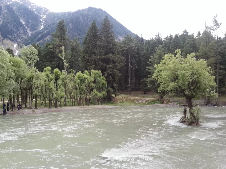 Photo of Betab Valley by Shashank Vashishth