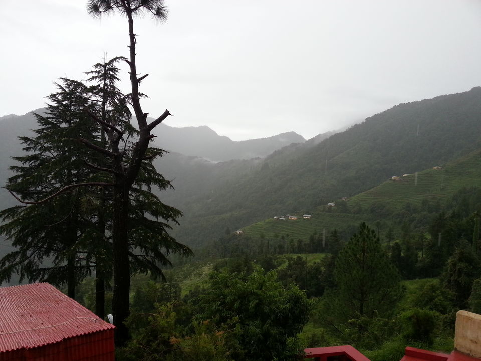 Photo of Fruit Bowl of Uttarakhand - Ramgarh !!! 5/7 by Shashank Vashishth